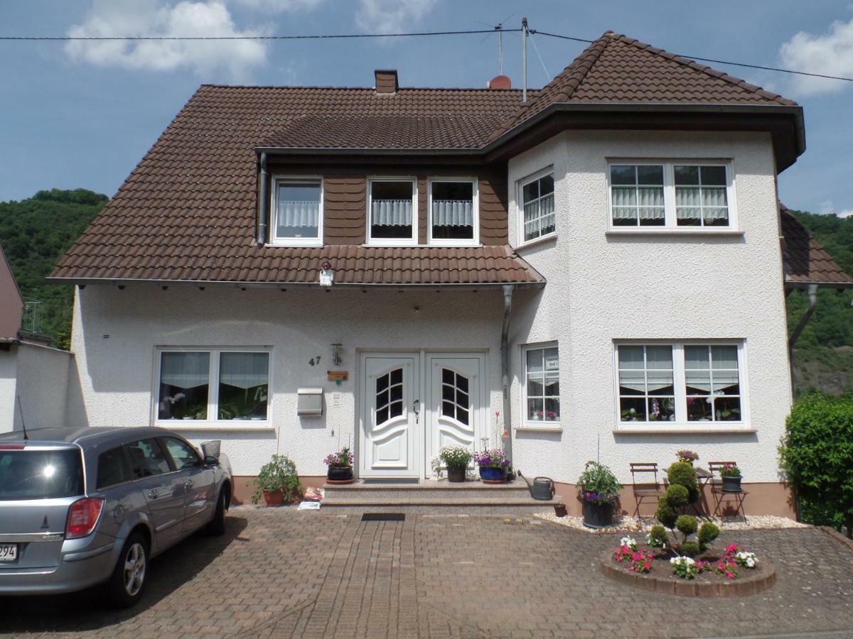 Ferienwohnung Erz Burgen  Exteriör bild